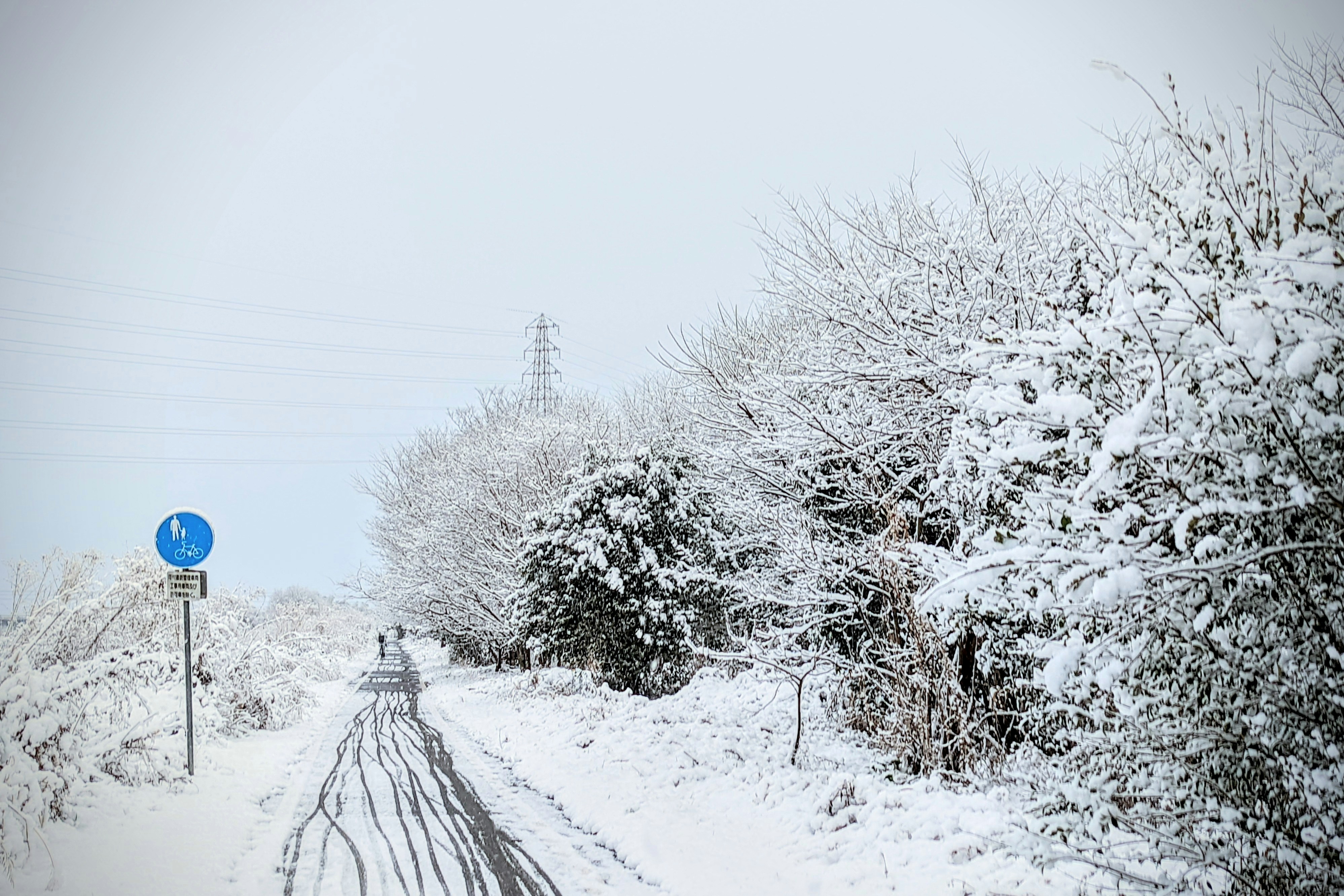 Photo by da_shika_photo