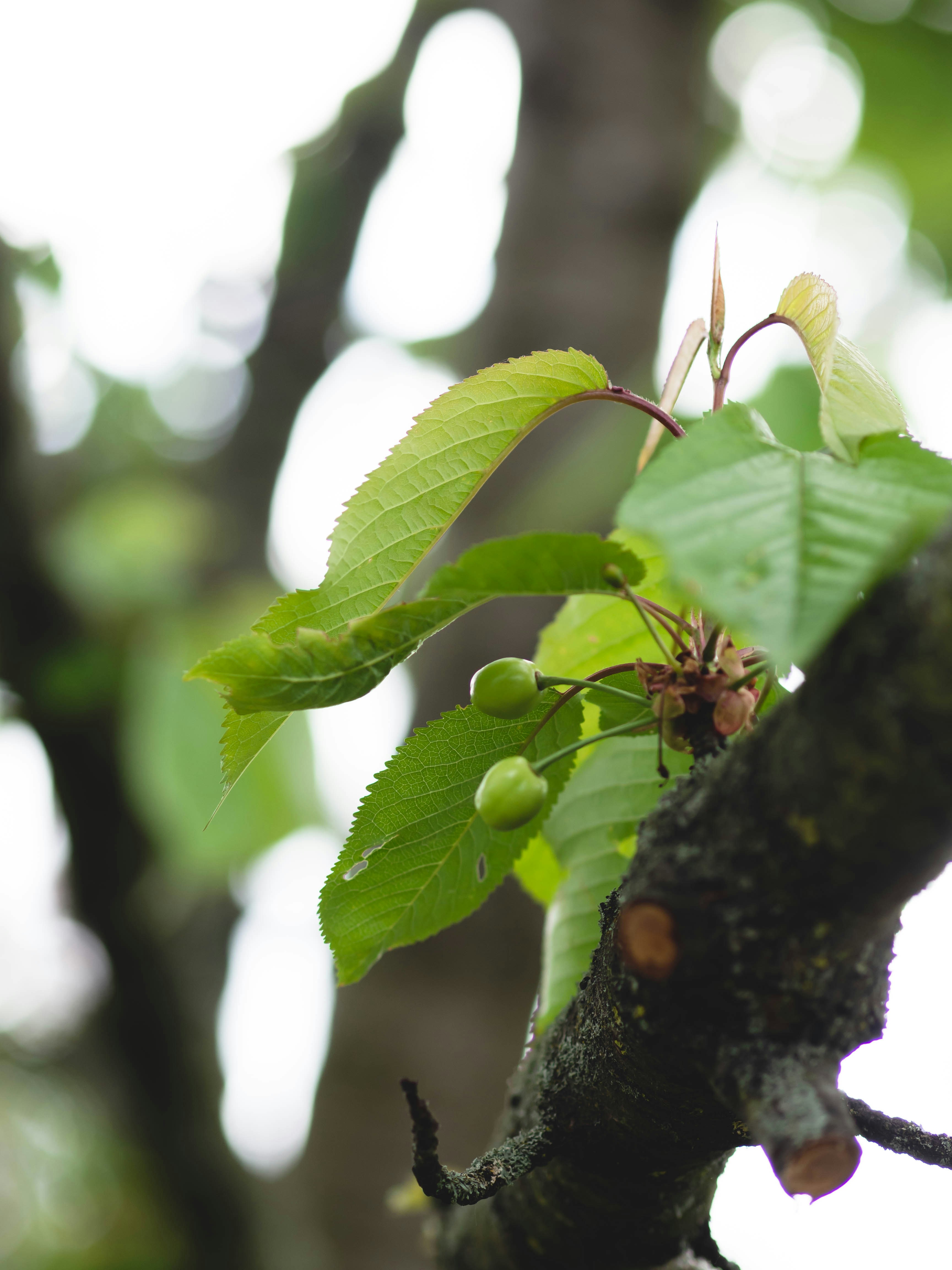 Photo by eileen_kummer