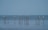 a flock of birds sitting on top of poles in the water