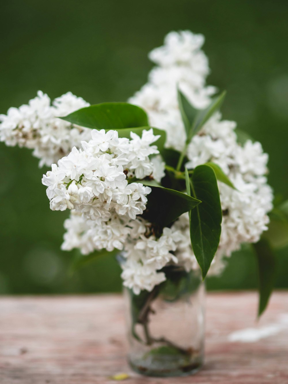 Un jarrón lleno de flores blancas encima de una mesa de madera