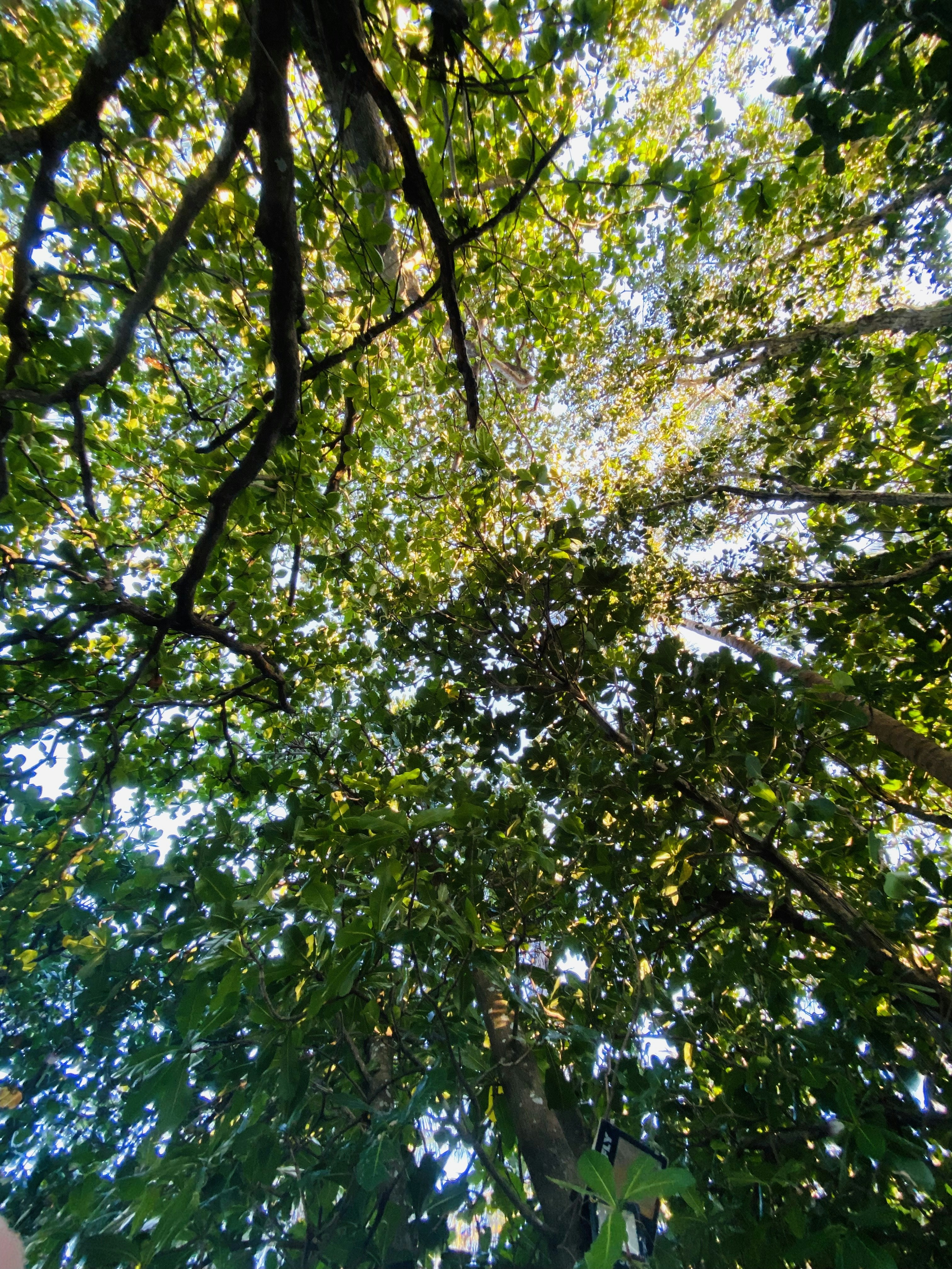 Photo by preciousxsantos