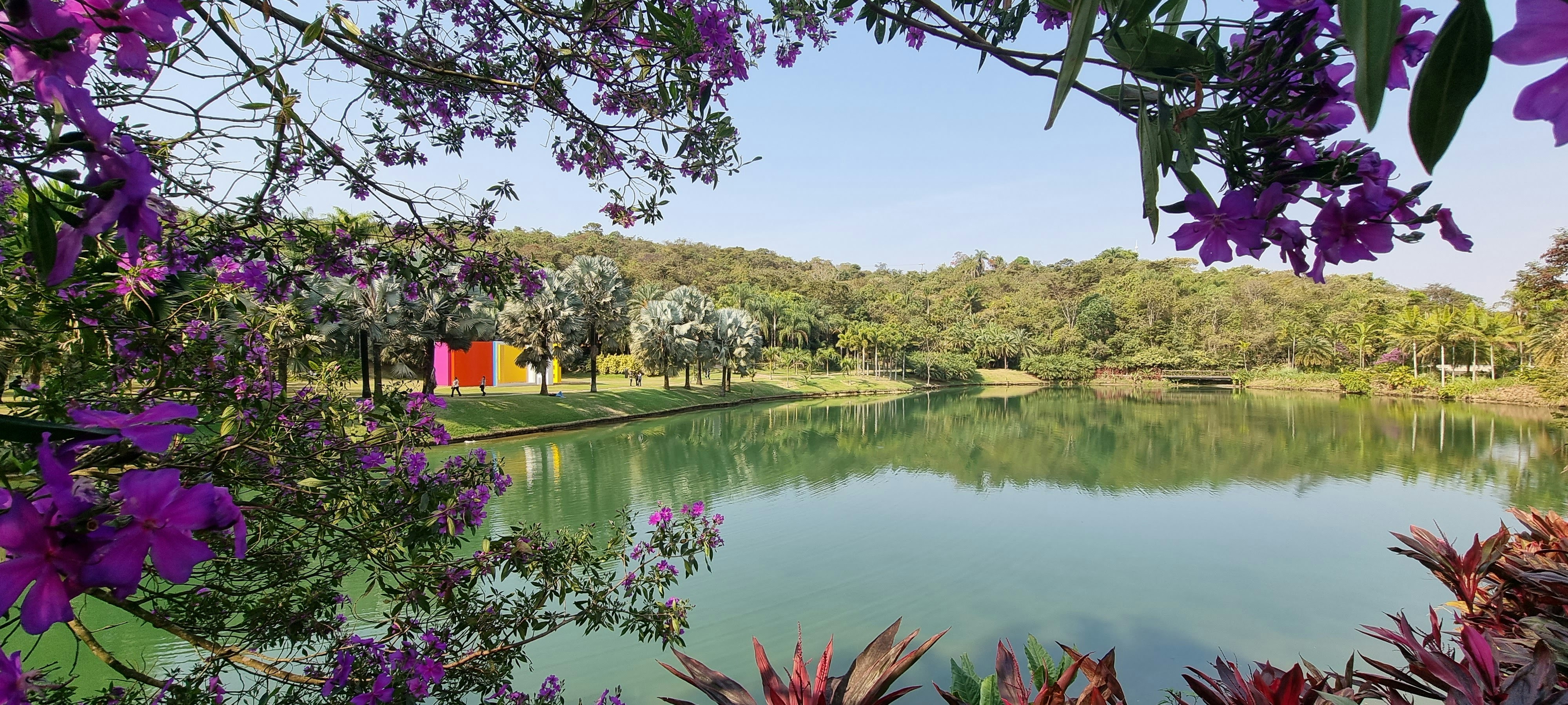 Female tourist in Vienna