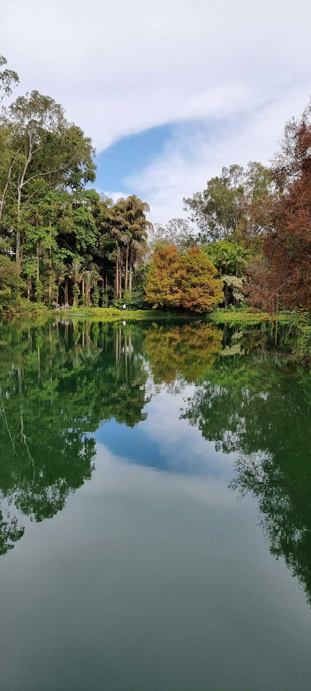 un plan d’eau entouré d’arbres