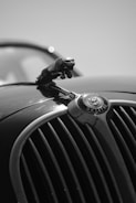 A close-up of a vintage car hood ornament, featuring a leaping animal, possibly a jaguar, mounted on a classic radiator grille. The emblem below indicates the engine size as 3.8 litres. The image is in black and white, providing a timeless and elegant feel.