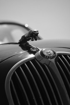 A close-up of a vintage car hood ornament, featuring a leaping animal, possibly a jaguar, mounted on a classic radiator grille. The emblem below indicates the engine size as 3.8 litres. The image is in black and white, providing a timeless and elegant feel.