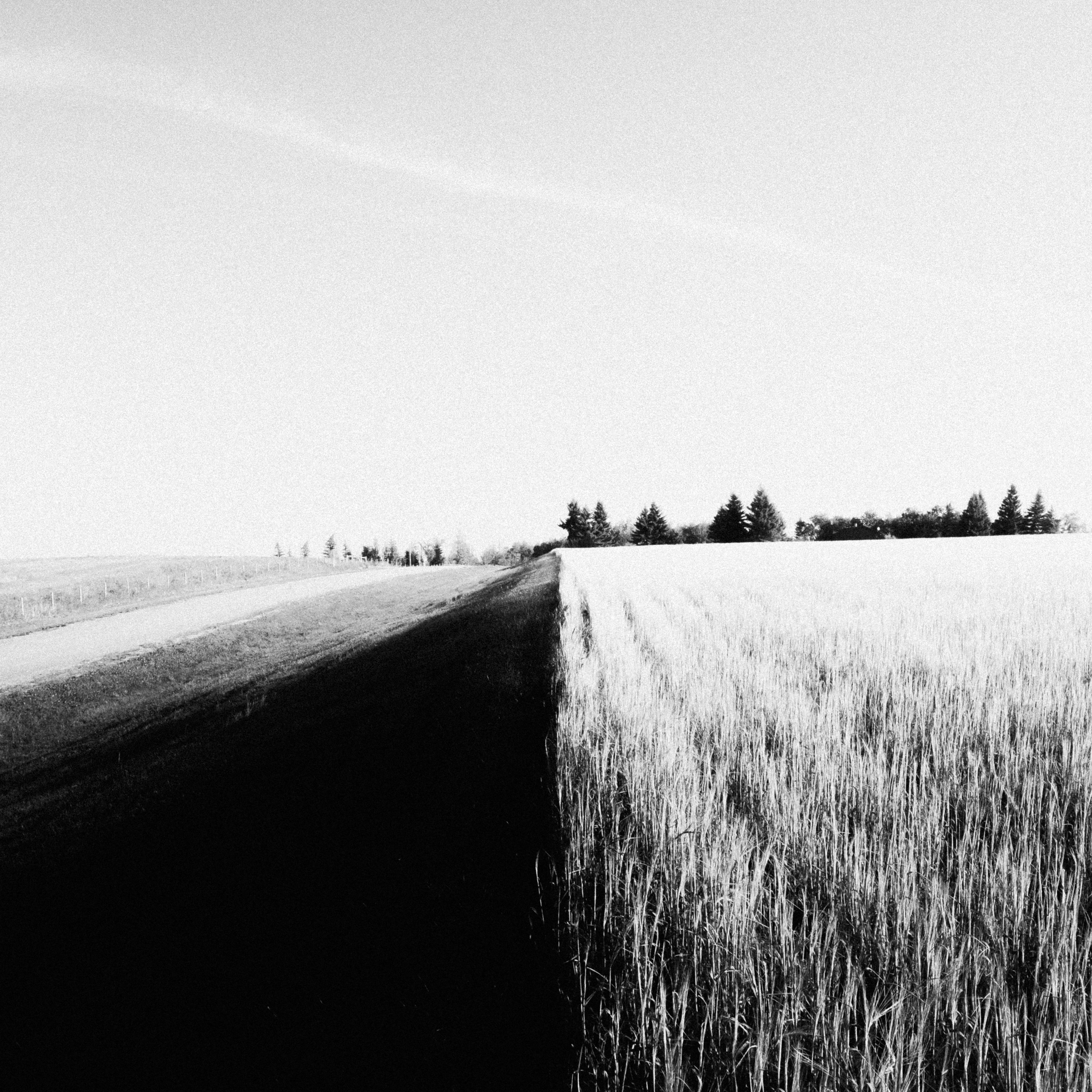 a black and white photo of an empty road