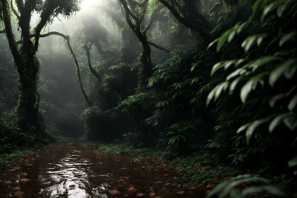 a stream running through a lush green forest