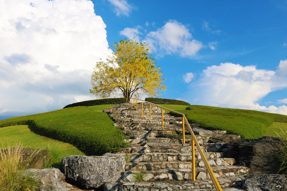 a stone stairway with a tree on top of it