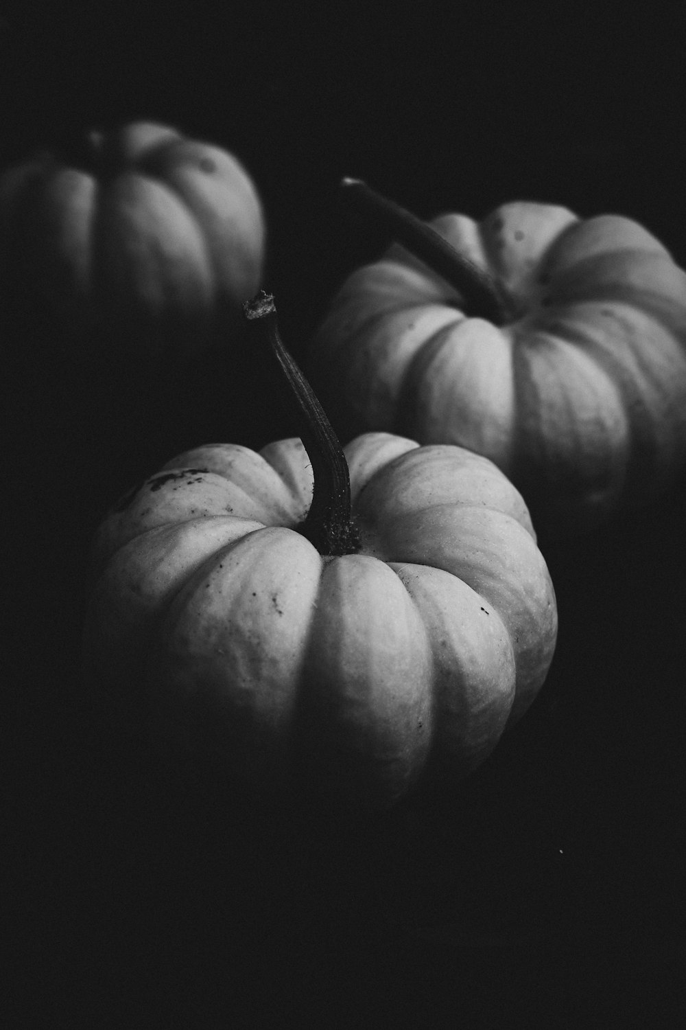 a black and white photo of three pumpkins