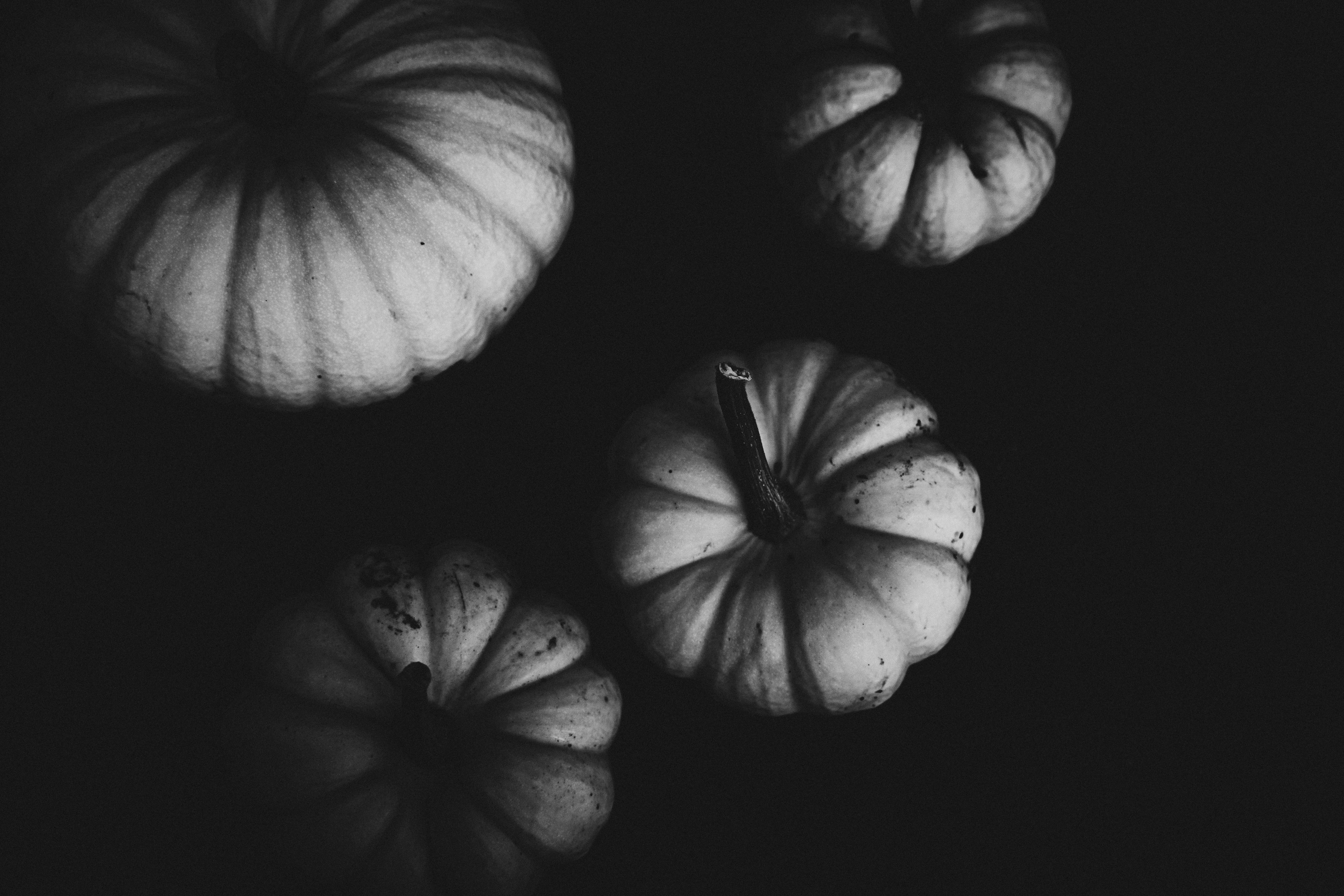 Photo by jswords