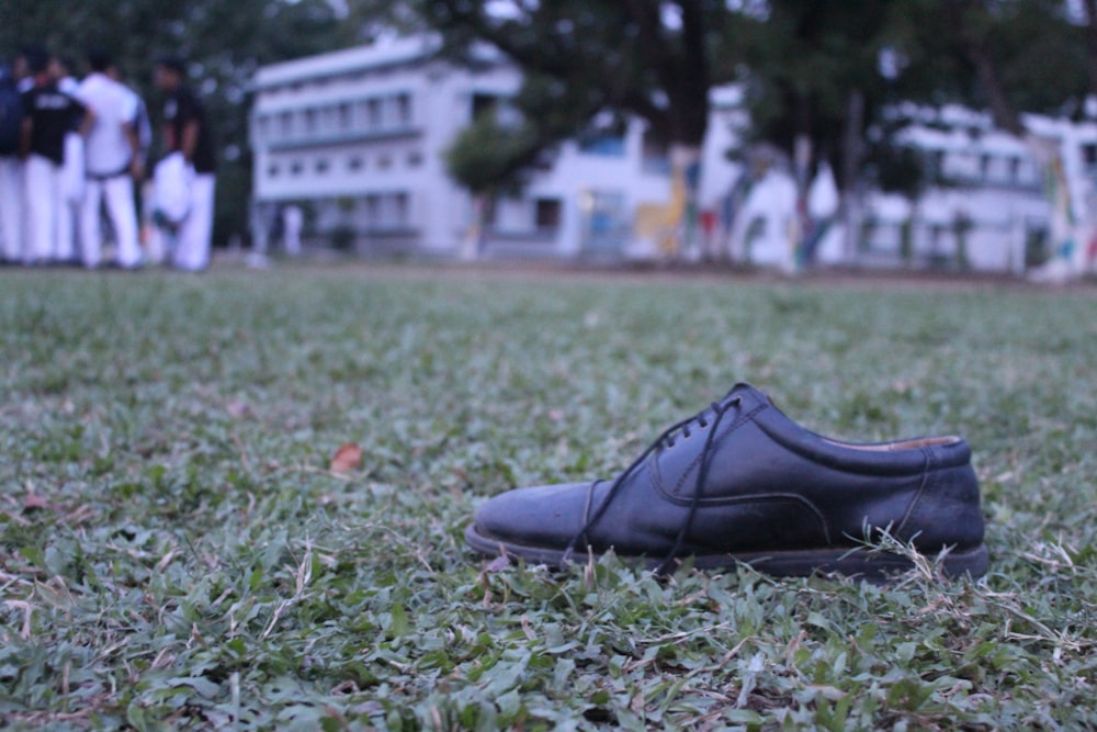 a pair of black shoes sitting on top of a lush green field
