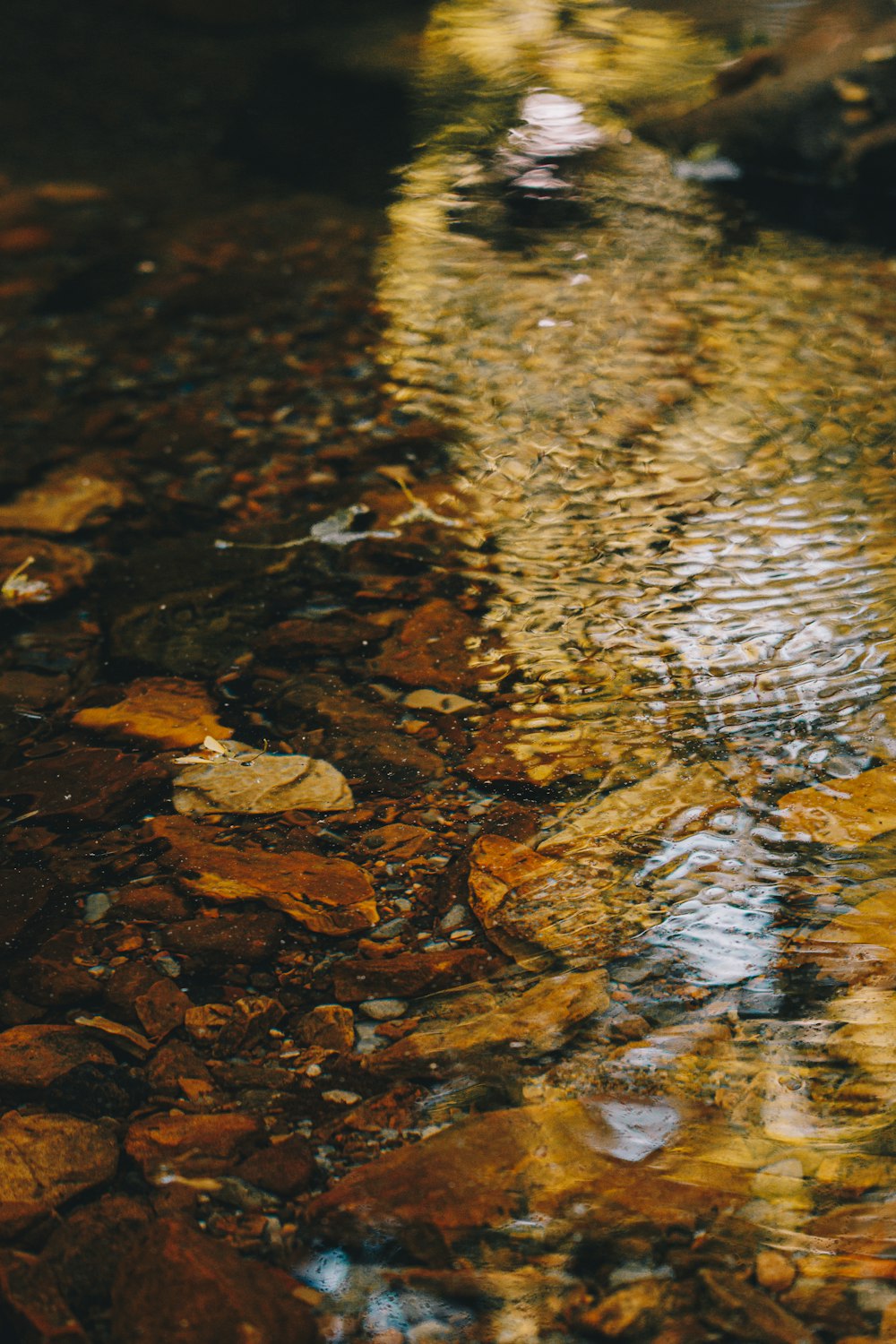 a close up of a river with rocks and water