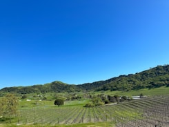 A scenic view of rolling hills dotted with wineries under a clear blue sky