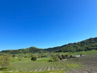 A scenic view of the Montenegrin countryside dotted with vineyards and a clear blue sky.