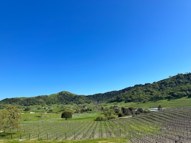 A scenic view of a Santa Ynez Valley property with rolling hills and vineyards.