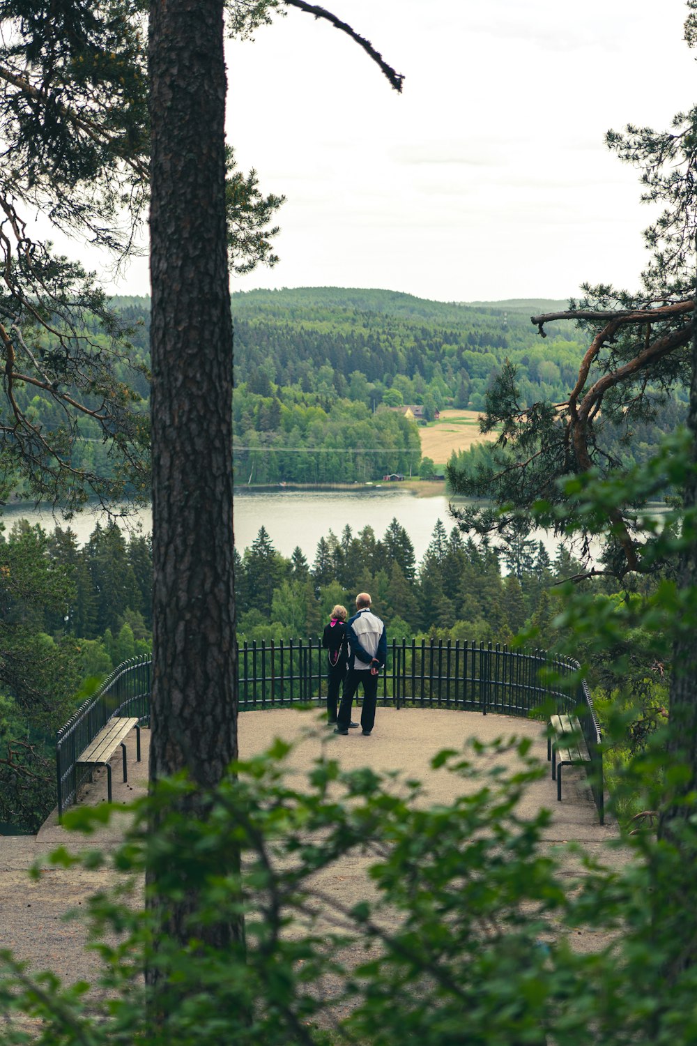 a couple of people standing on top of a hill