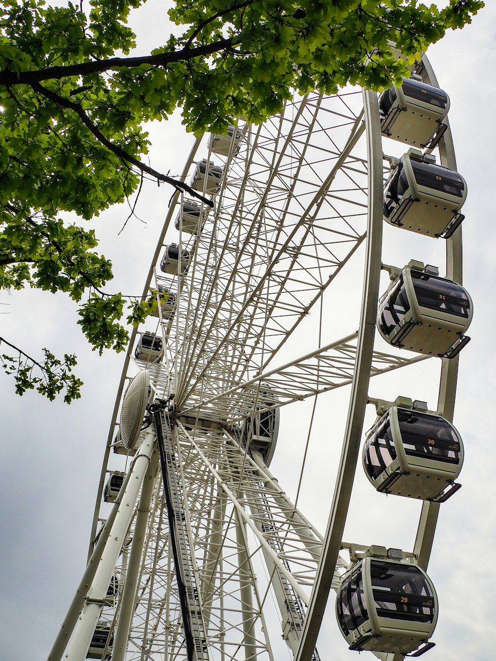 a large ferris wheel sitting next to a tree