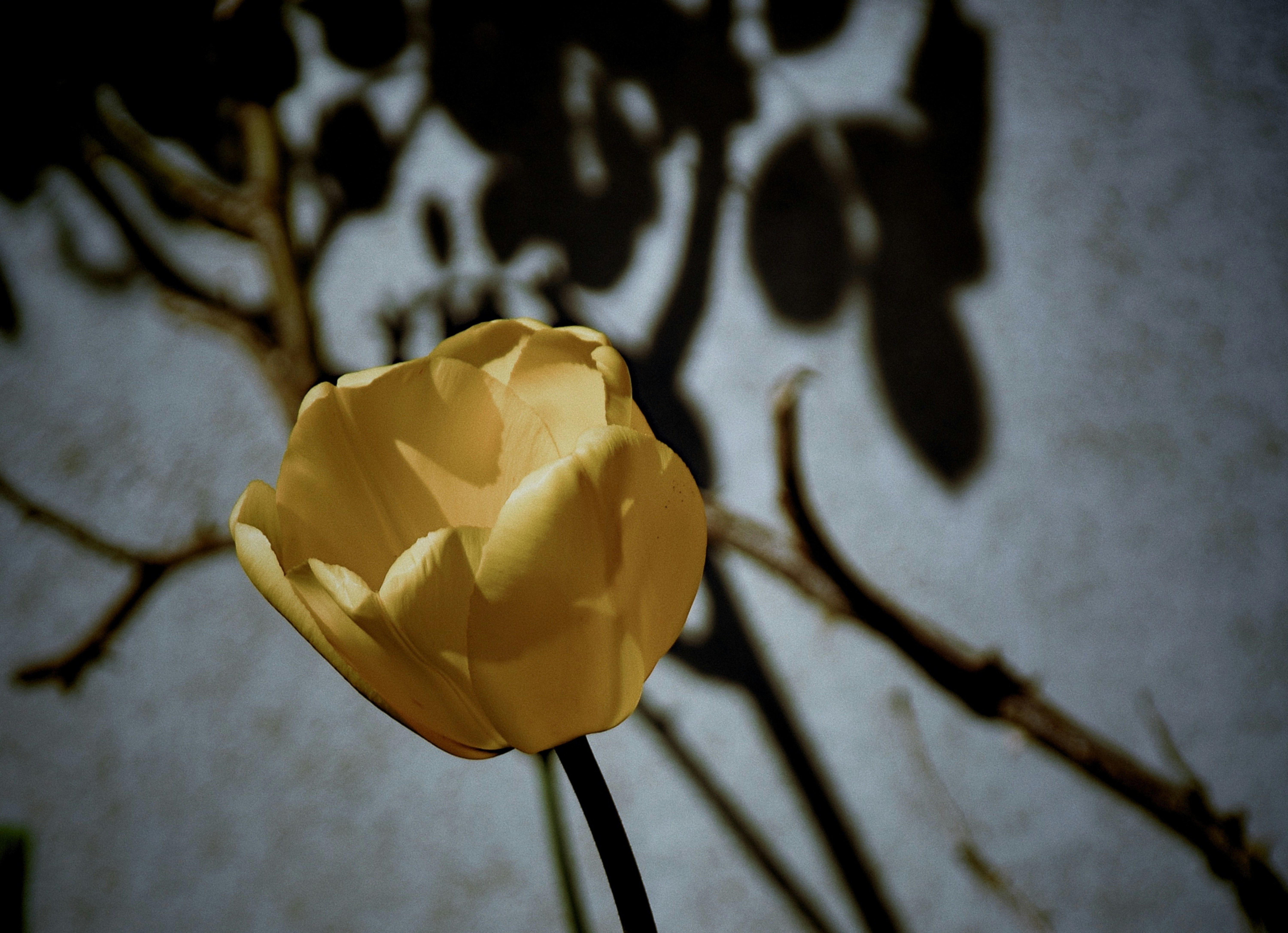 Photo by mariobeducci