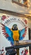 A vibrant macaw with yellow and blue feathers is perched on a wooden stand in front of a mural featuring colorful wings and floral designs. The background includes text and painted flowers, adding a lively setting to the scene.