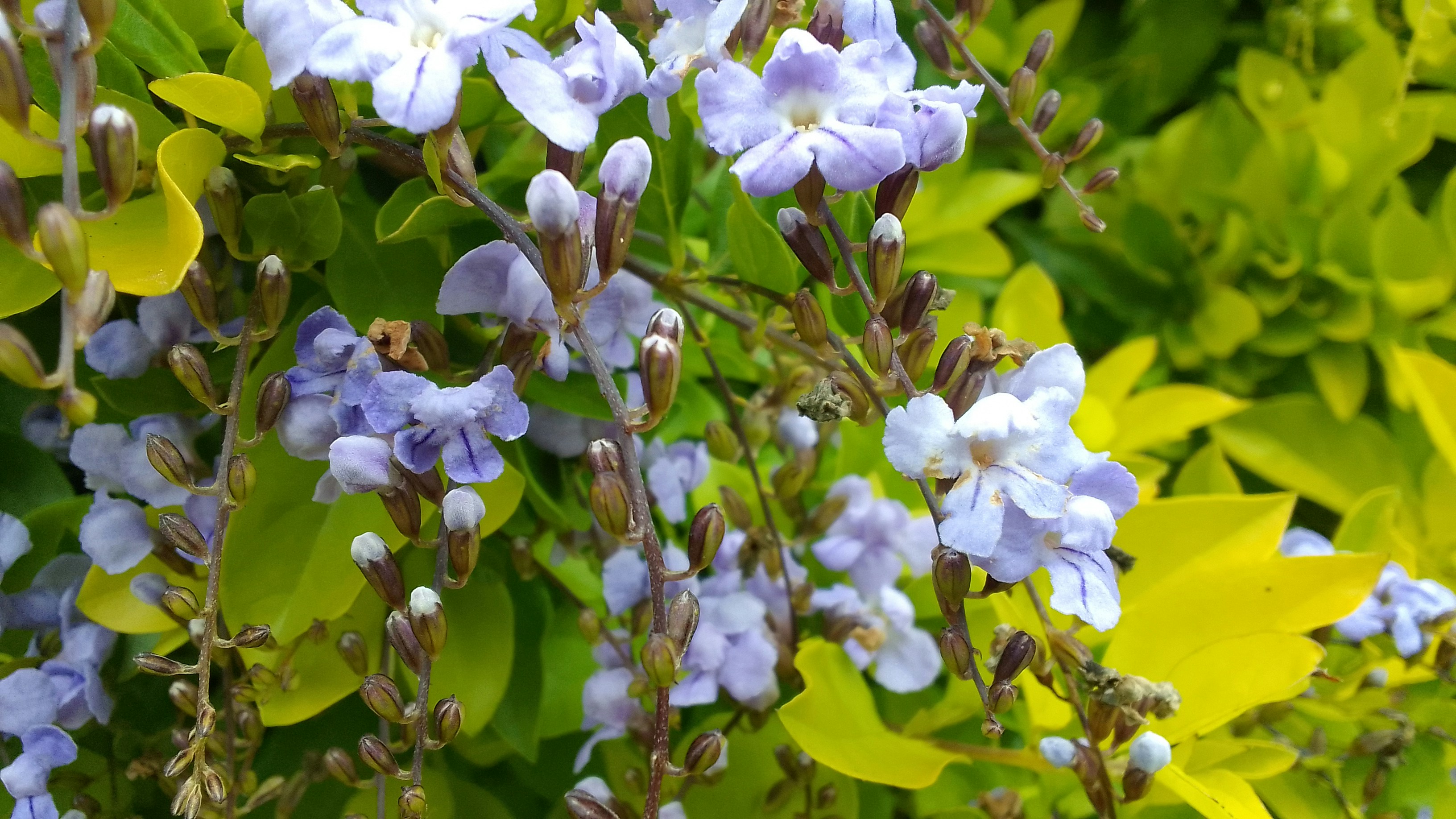 Photo by rockwaro_edward