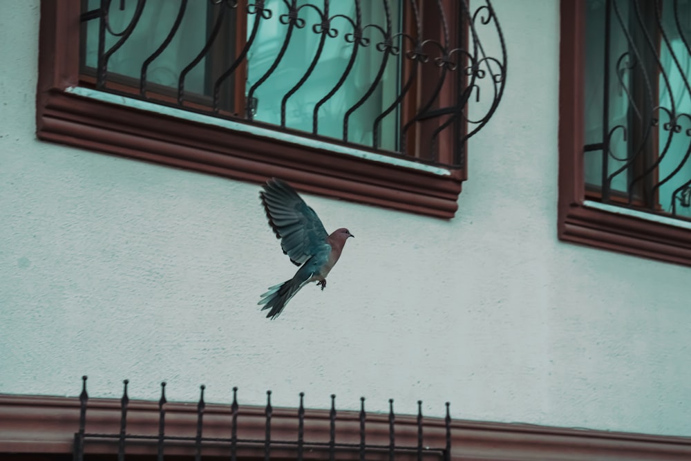 a bird is flying in front of a building
