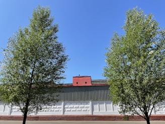 Two tall trees with lush green leaves frame a large industrial building. The building has a corrugated metal roof and a white and red facade. The sky is clear and blue, creating a serene backdrop.