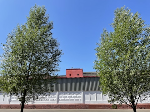 Finished wooden industrialized building surrounded by green landscape under clear sky.