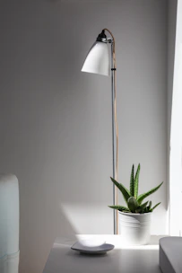 An elegant floor lamp with matte forest green base illuminating a minimalist living room corner