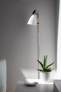 A modern floor lamp casting warm light over a minimalist side table with a small plant.