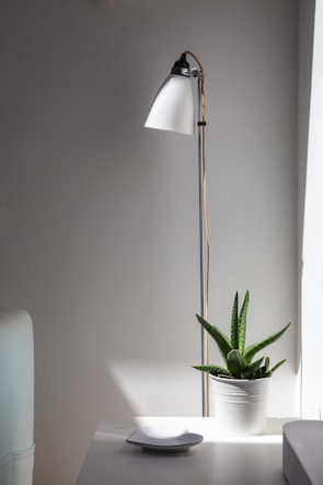 A sleek floor lamp illuminating a contemporary living room.