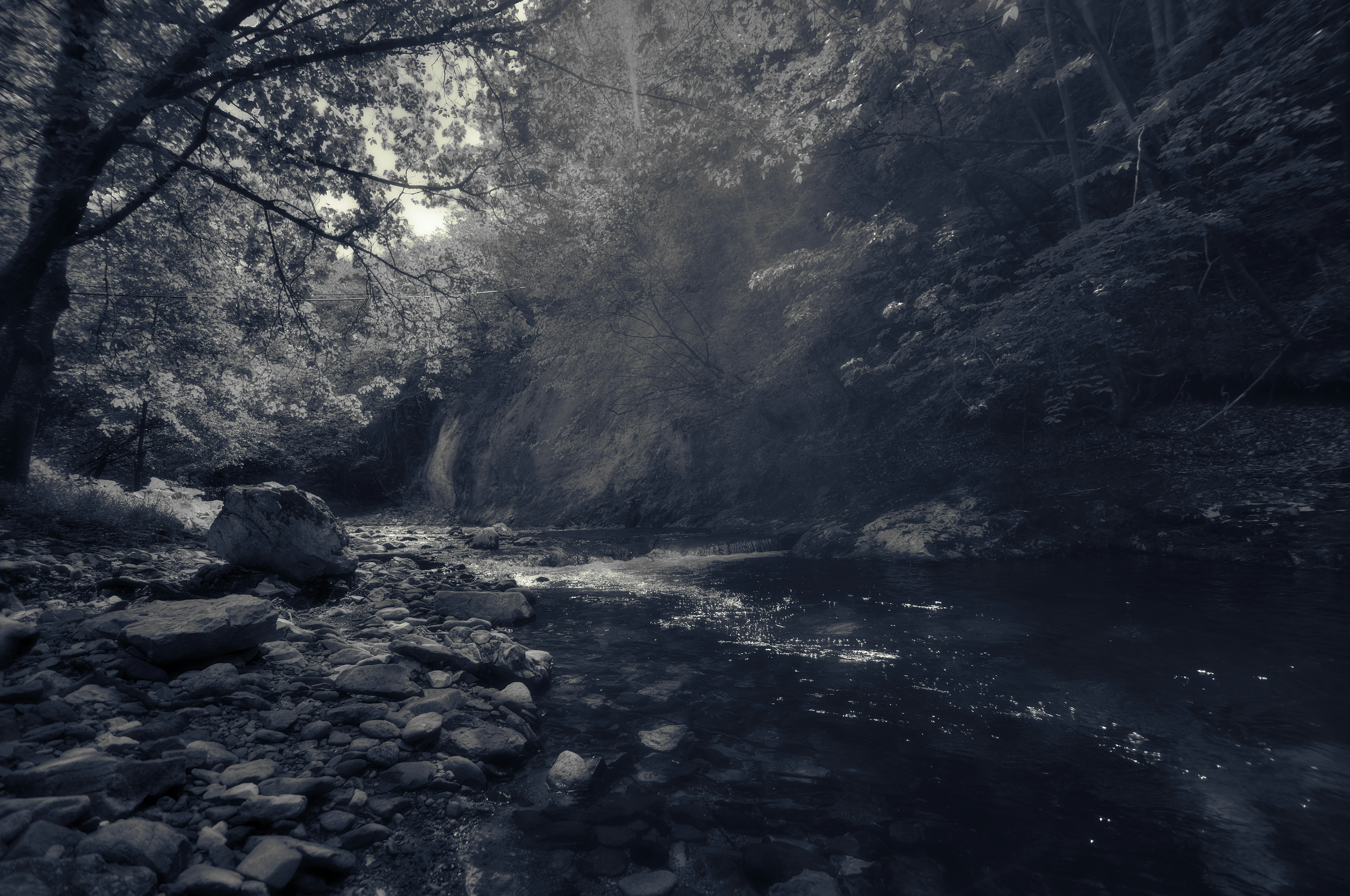 Photo by blooddrainer