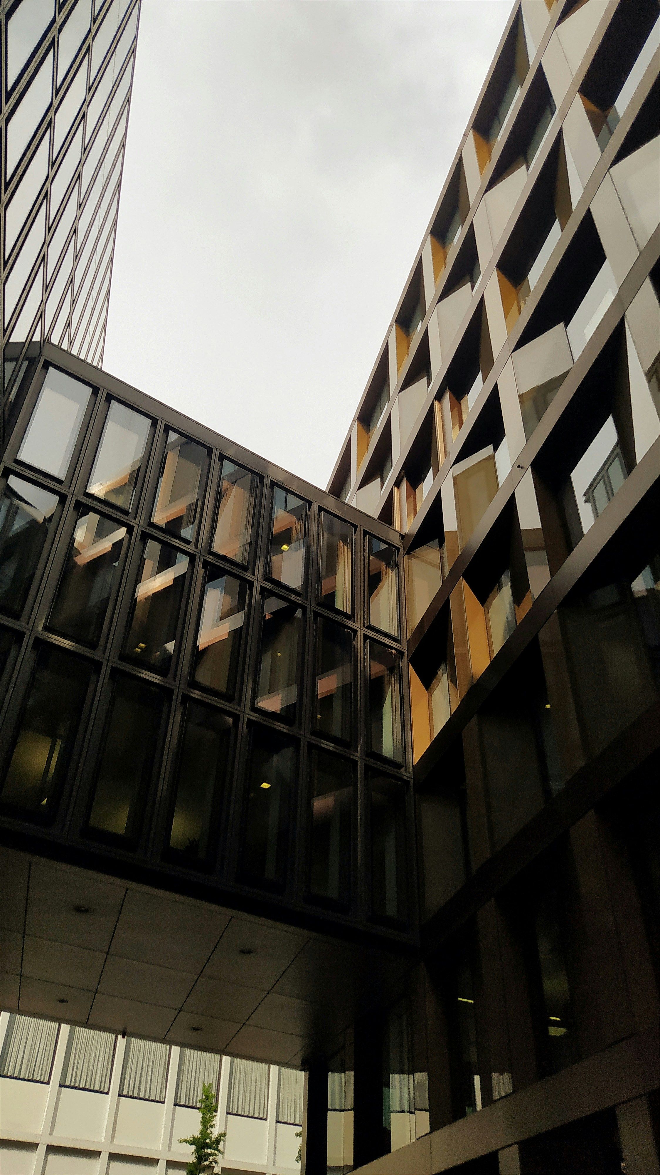 Photo by fioeniiiiiiiii