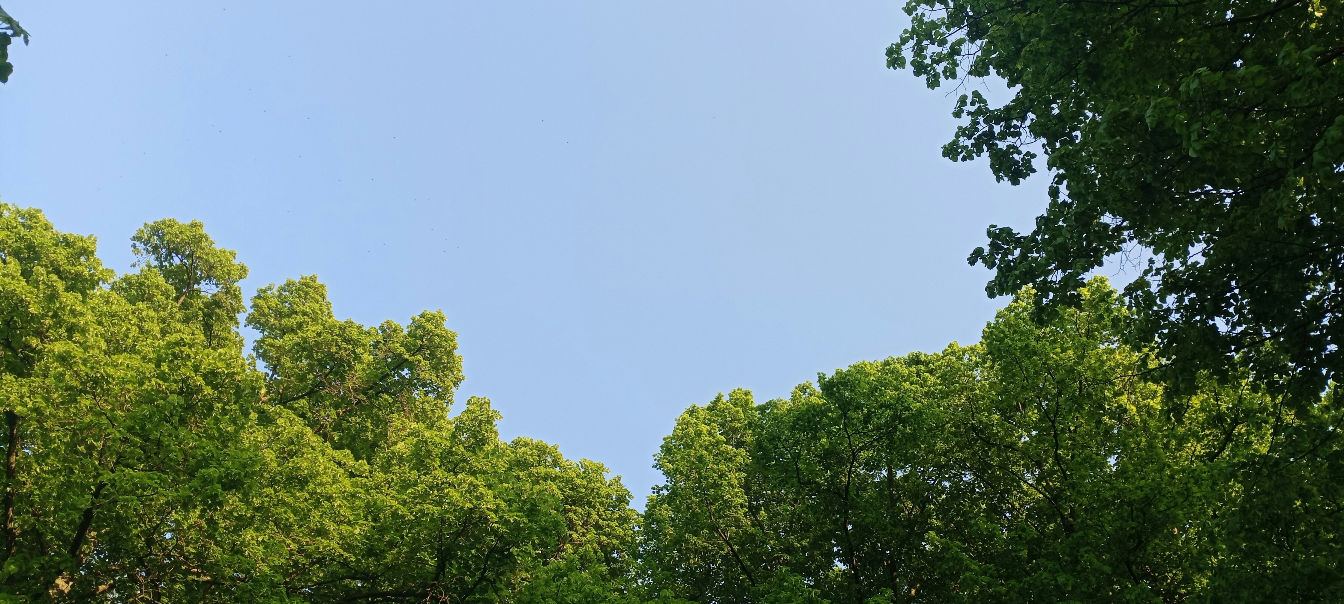 Photo by michellynstylos