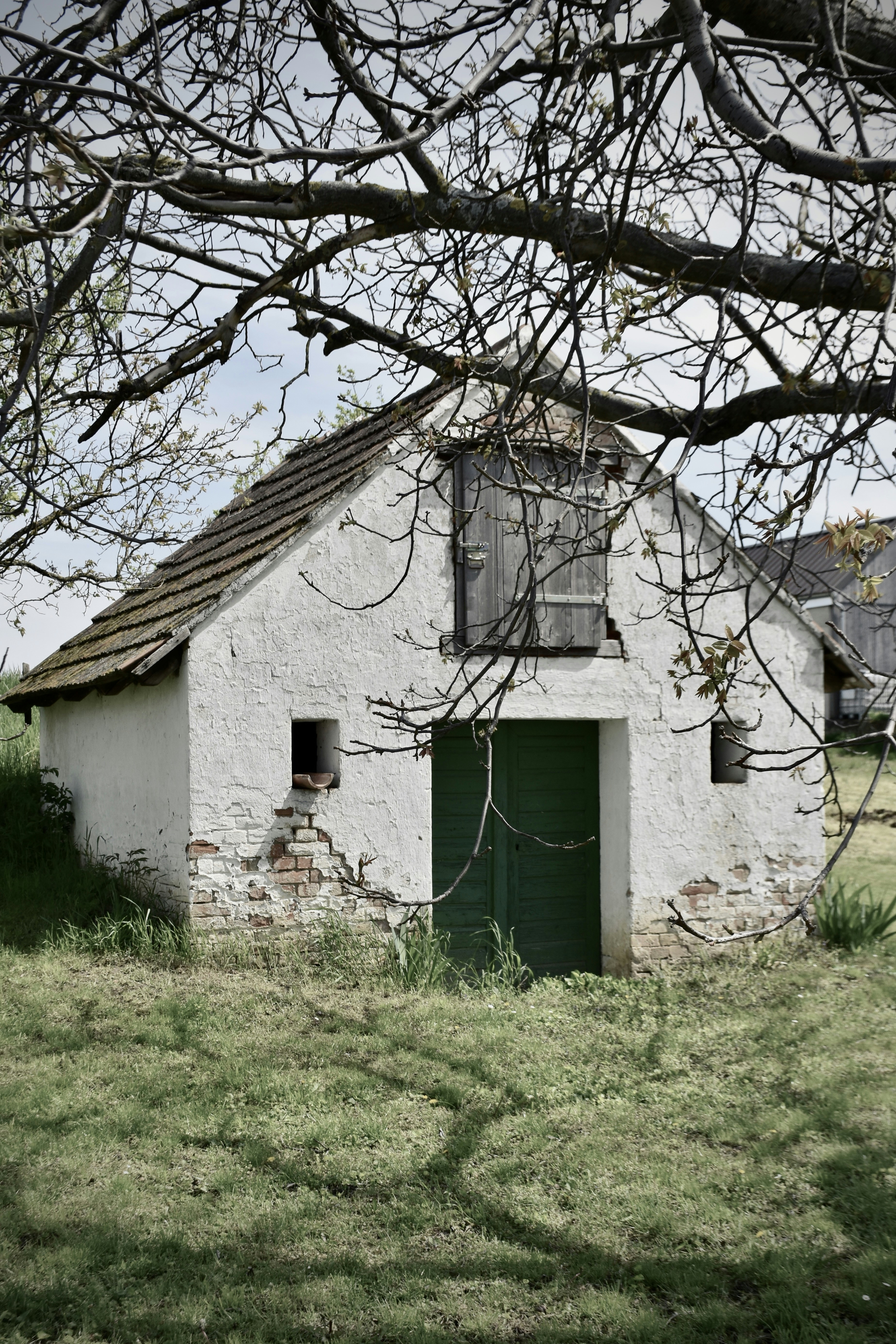 Photo by arnosenoner