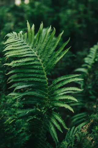 Close-up of a green forest leaf blending into digital circuit patterns.
