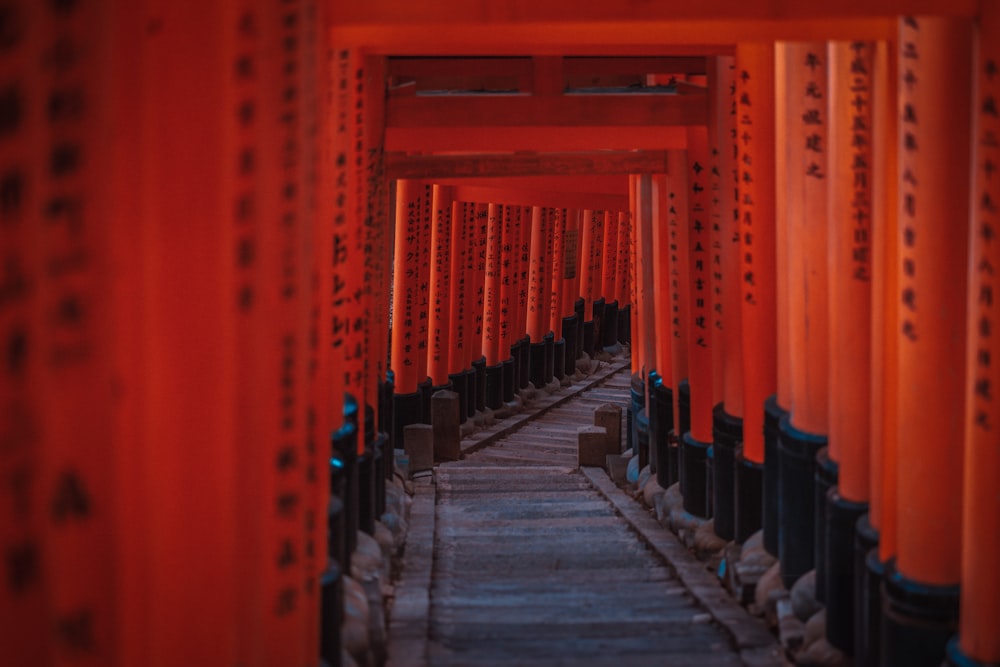 rows of orange tori tori tori tori tori tori tori tori tori tori tori tori tori