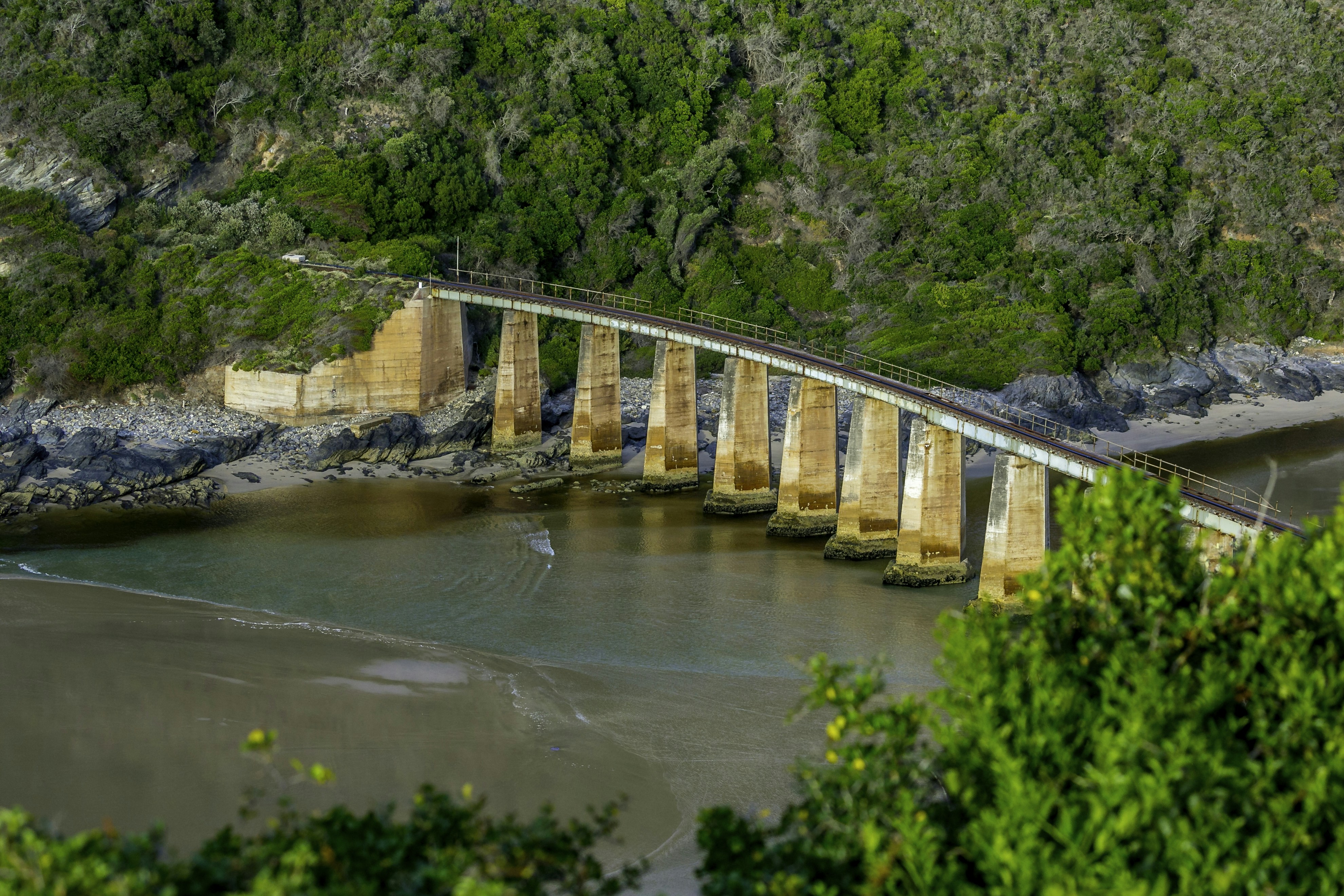 a train crossing a bridge over a body of water, In the heart of Wilderness along South Africa