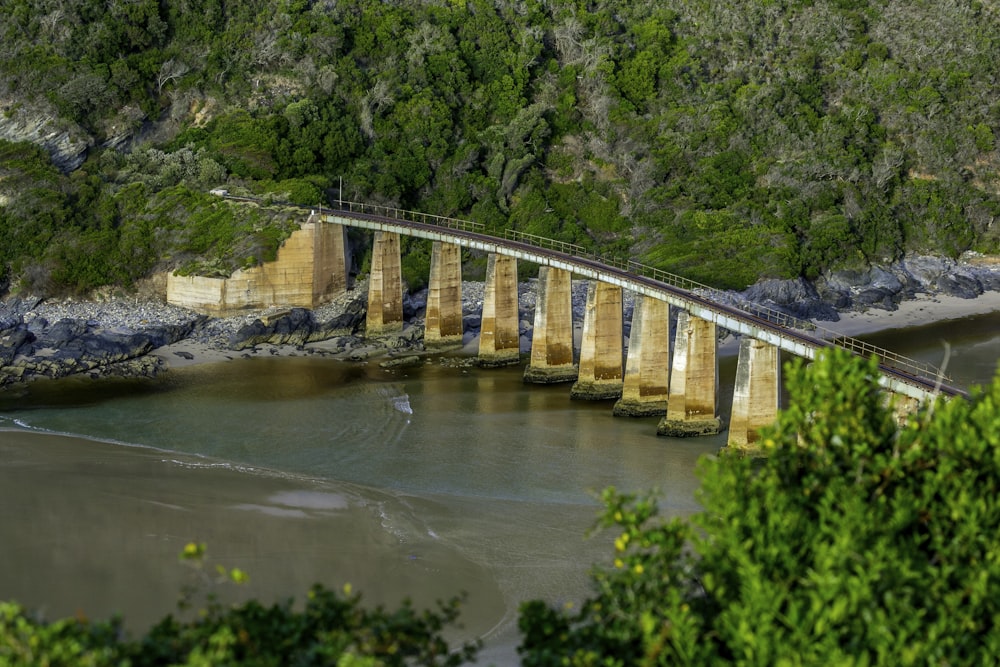 a train crossing a bridge over a body of water