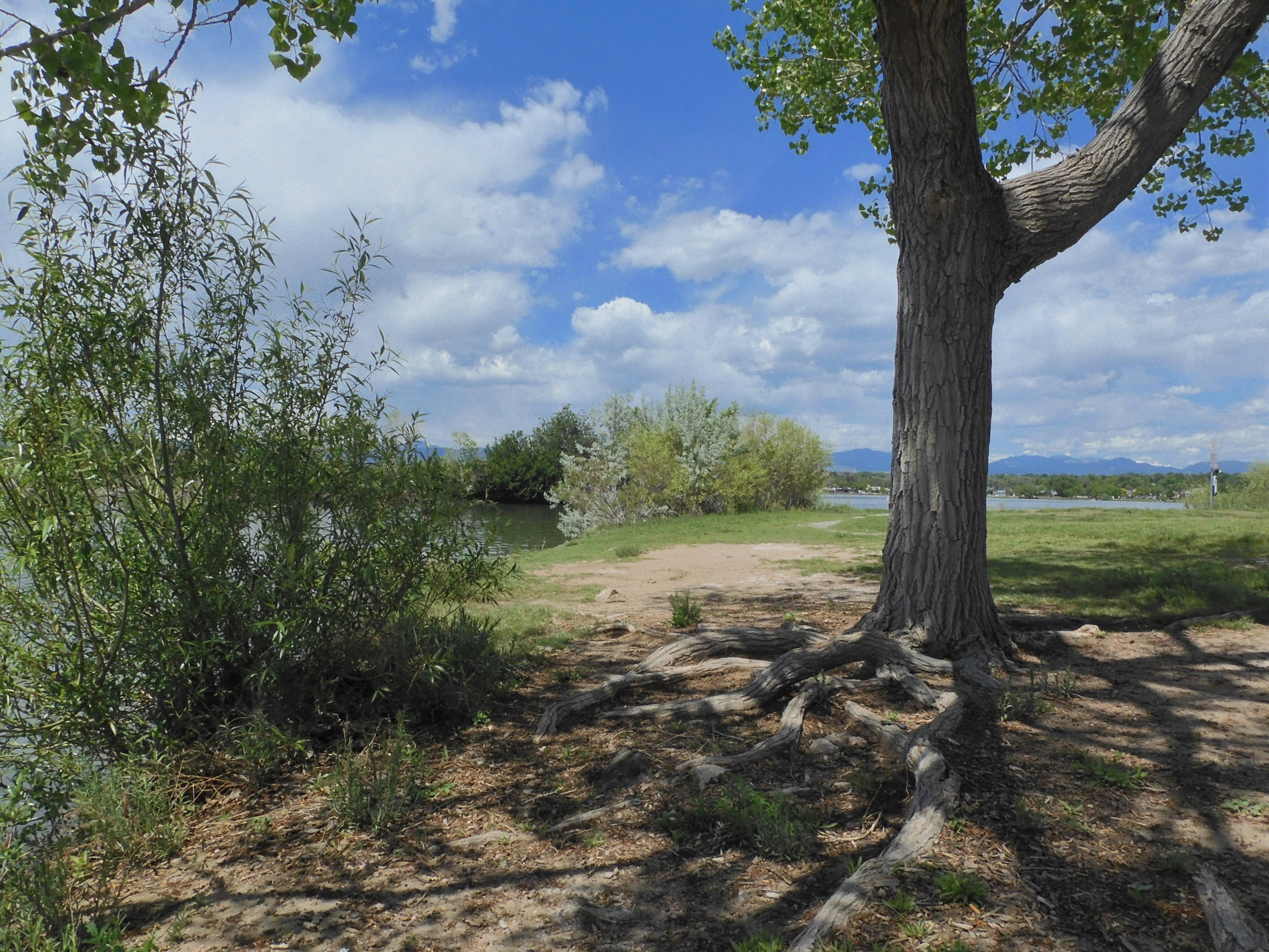 Leidy Lake Game Area