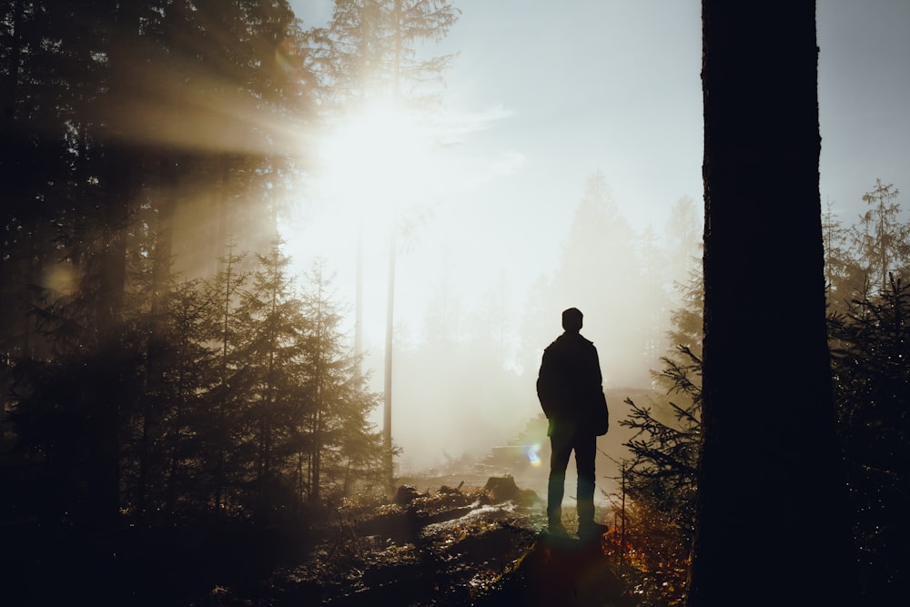 a person standing in the middle of a forest