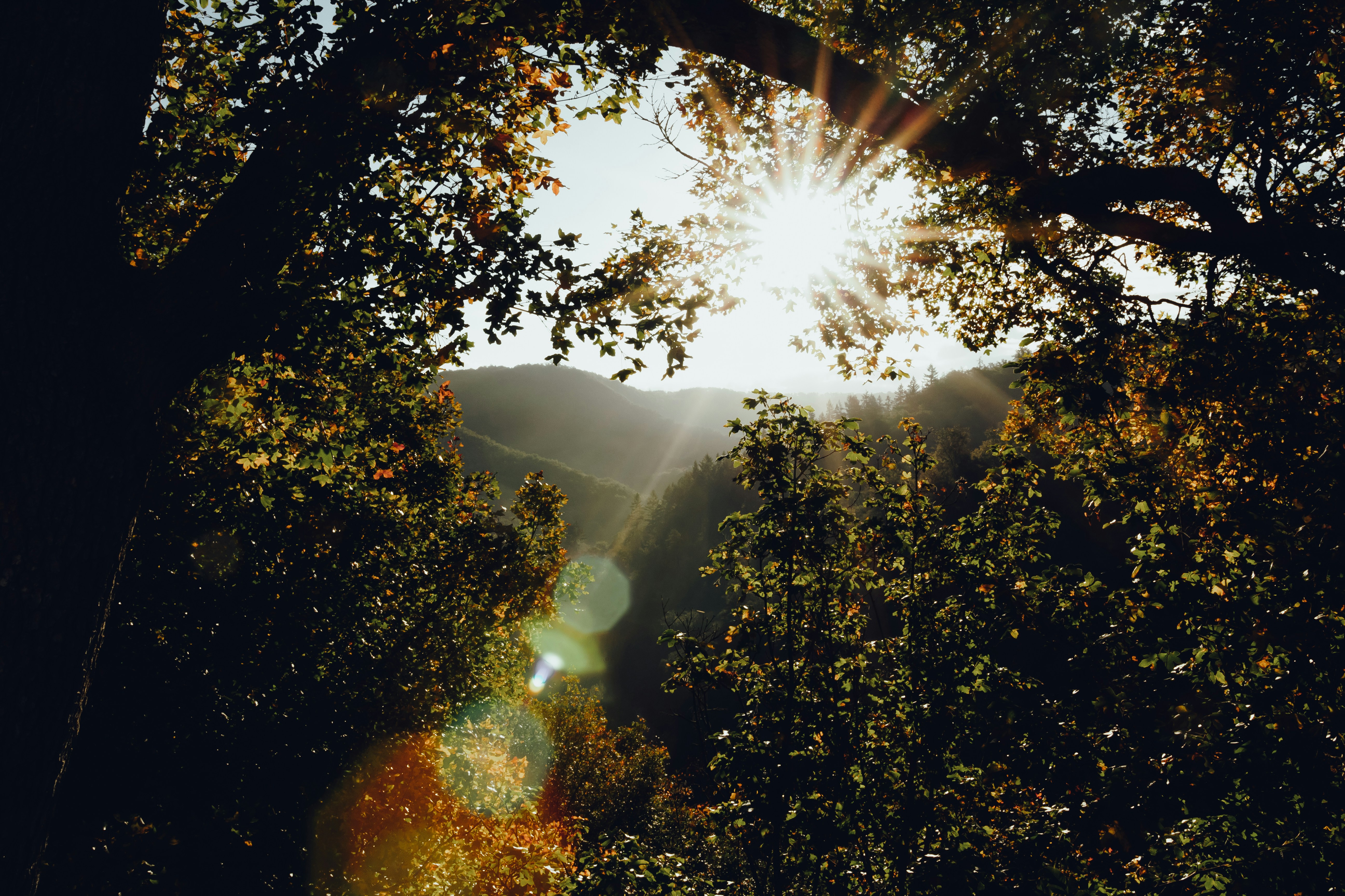 Photo by julianmissling