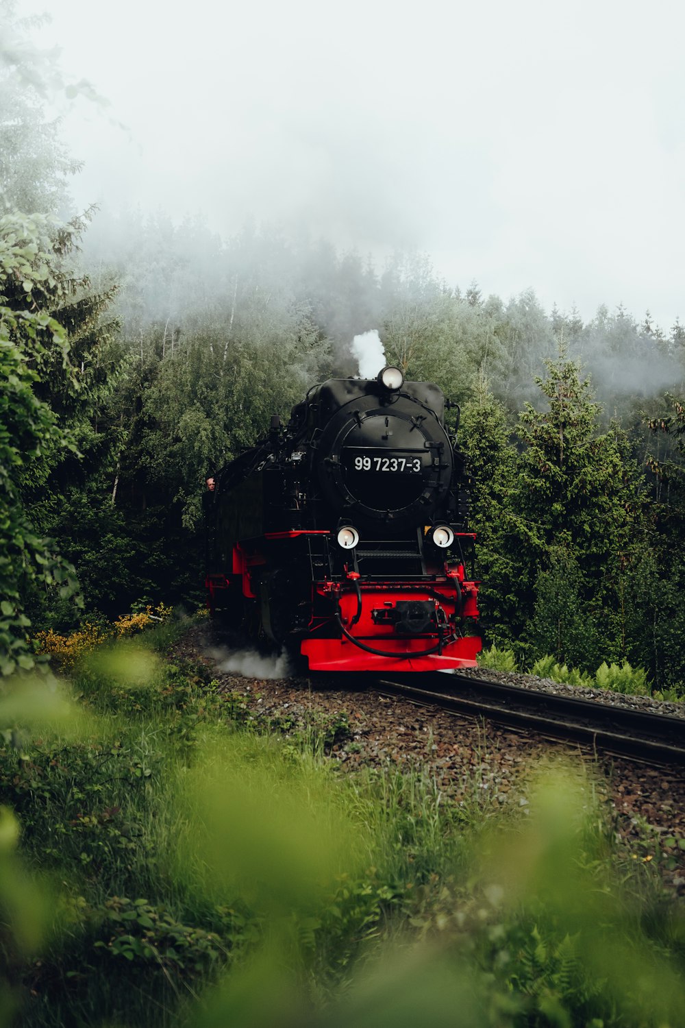 a train traveling through a lush green forest