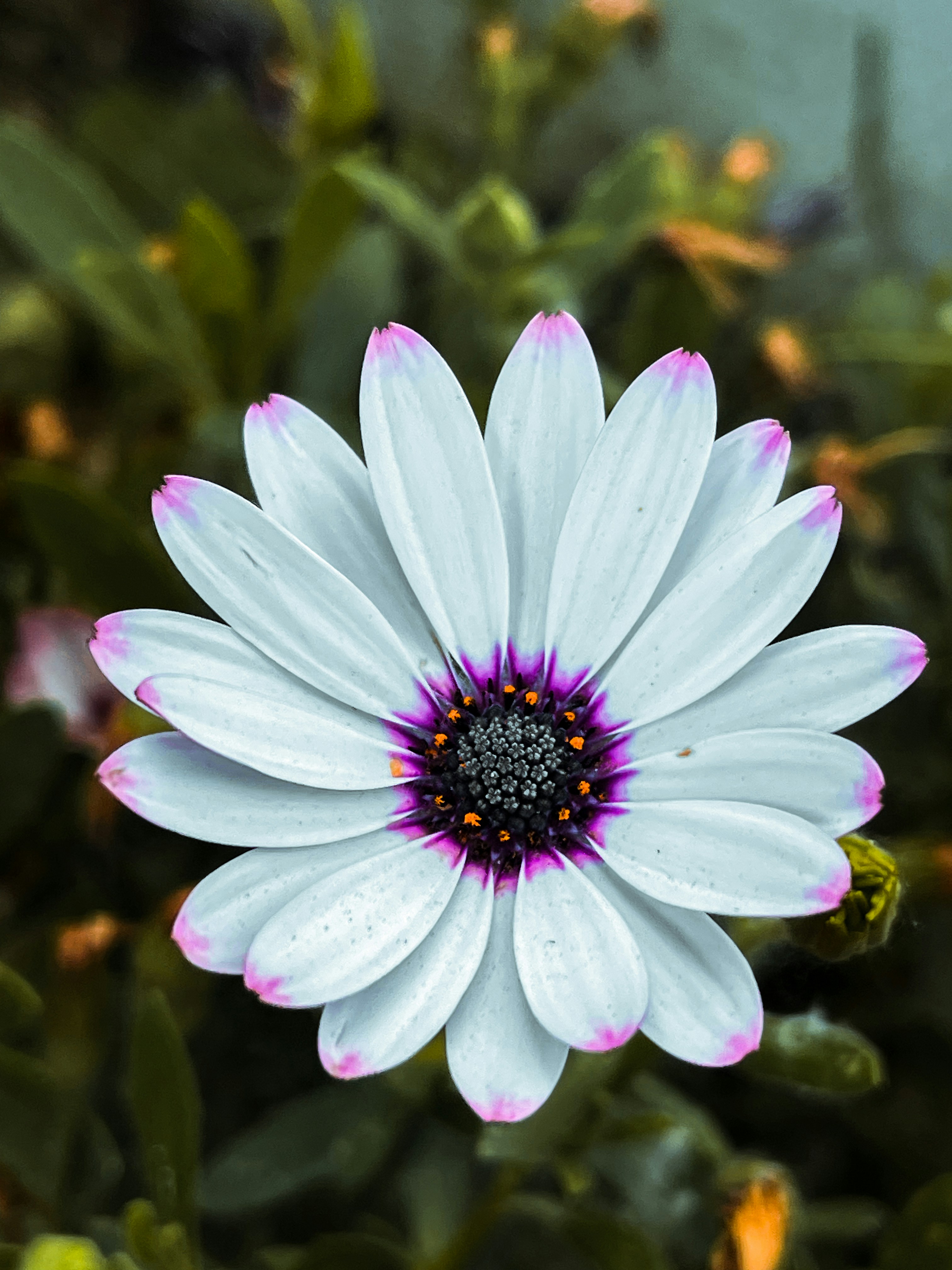 Photo by taralahroudy