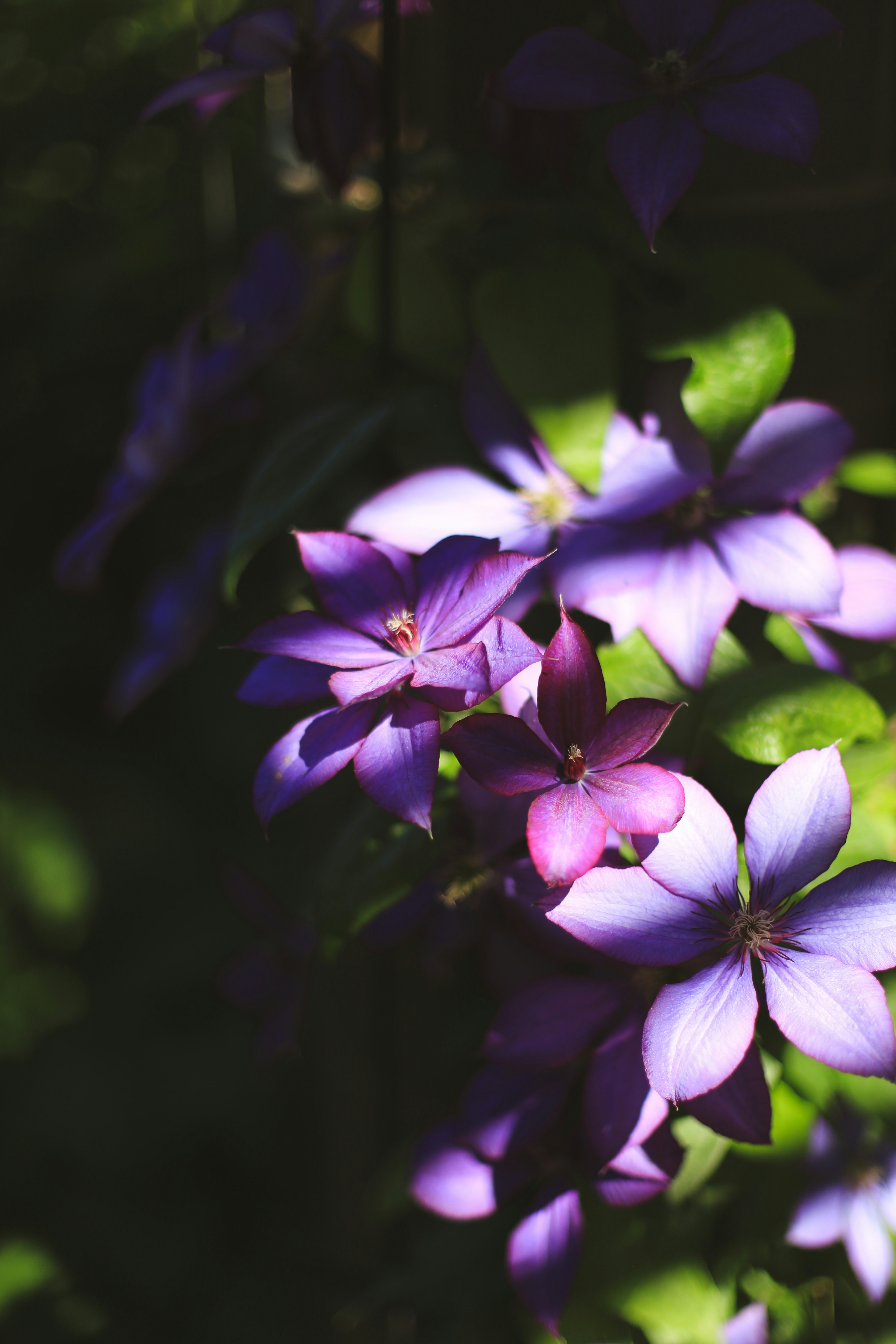 Photo by jessicalfadel