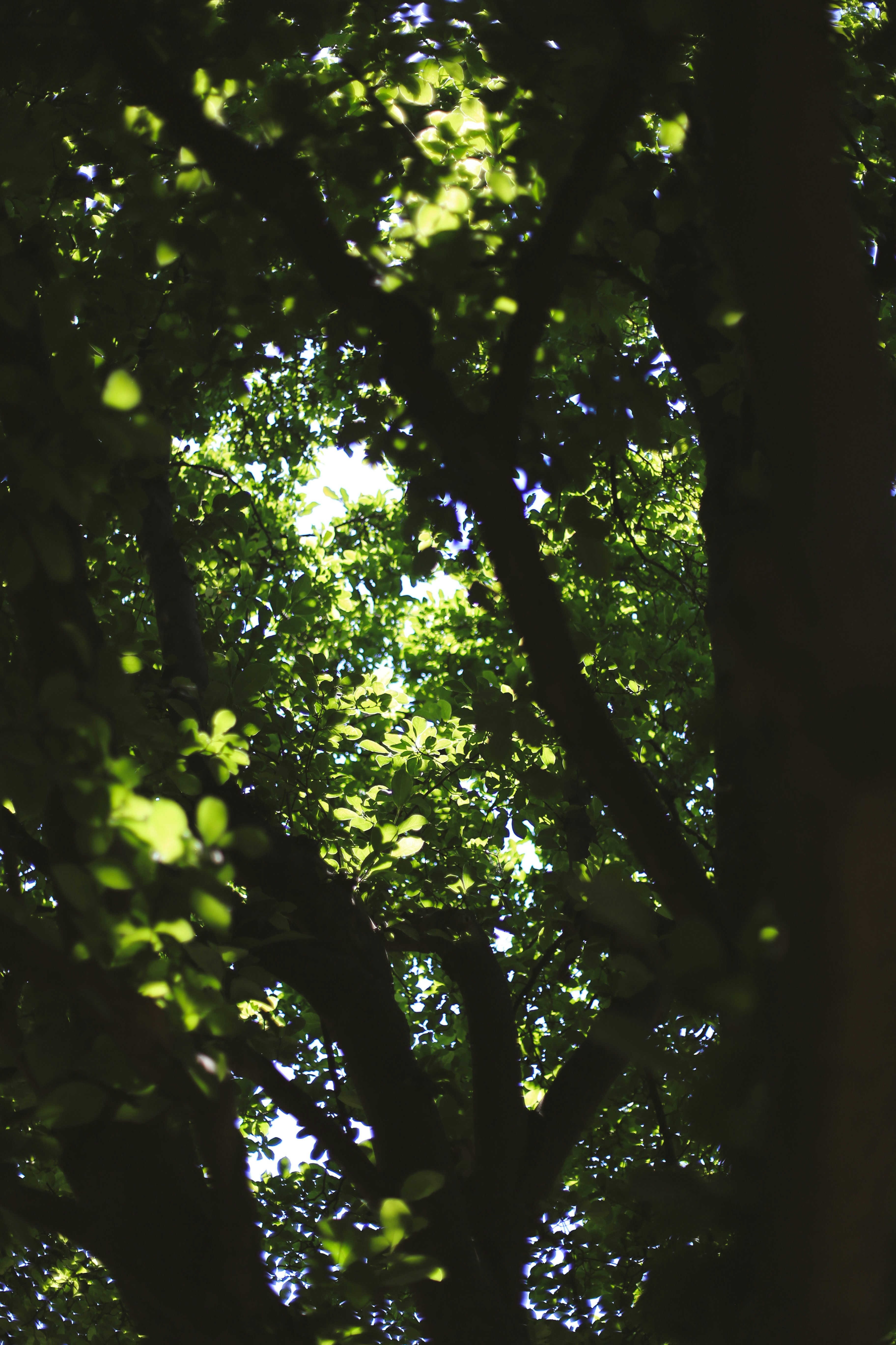 Photo by jessicalfadel