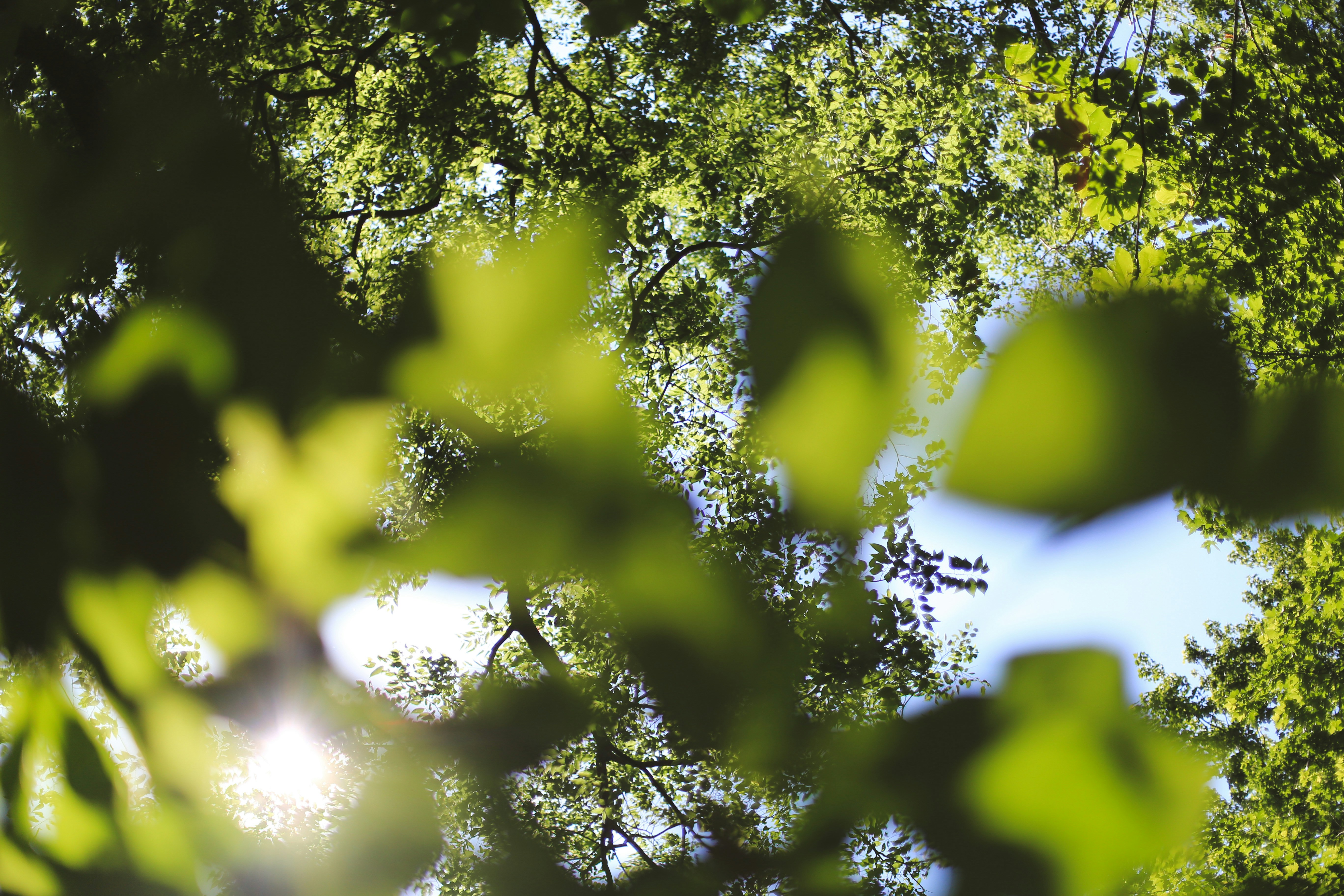 Photo by jessicalfadel