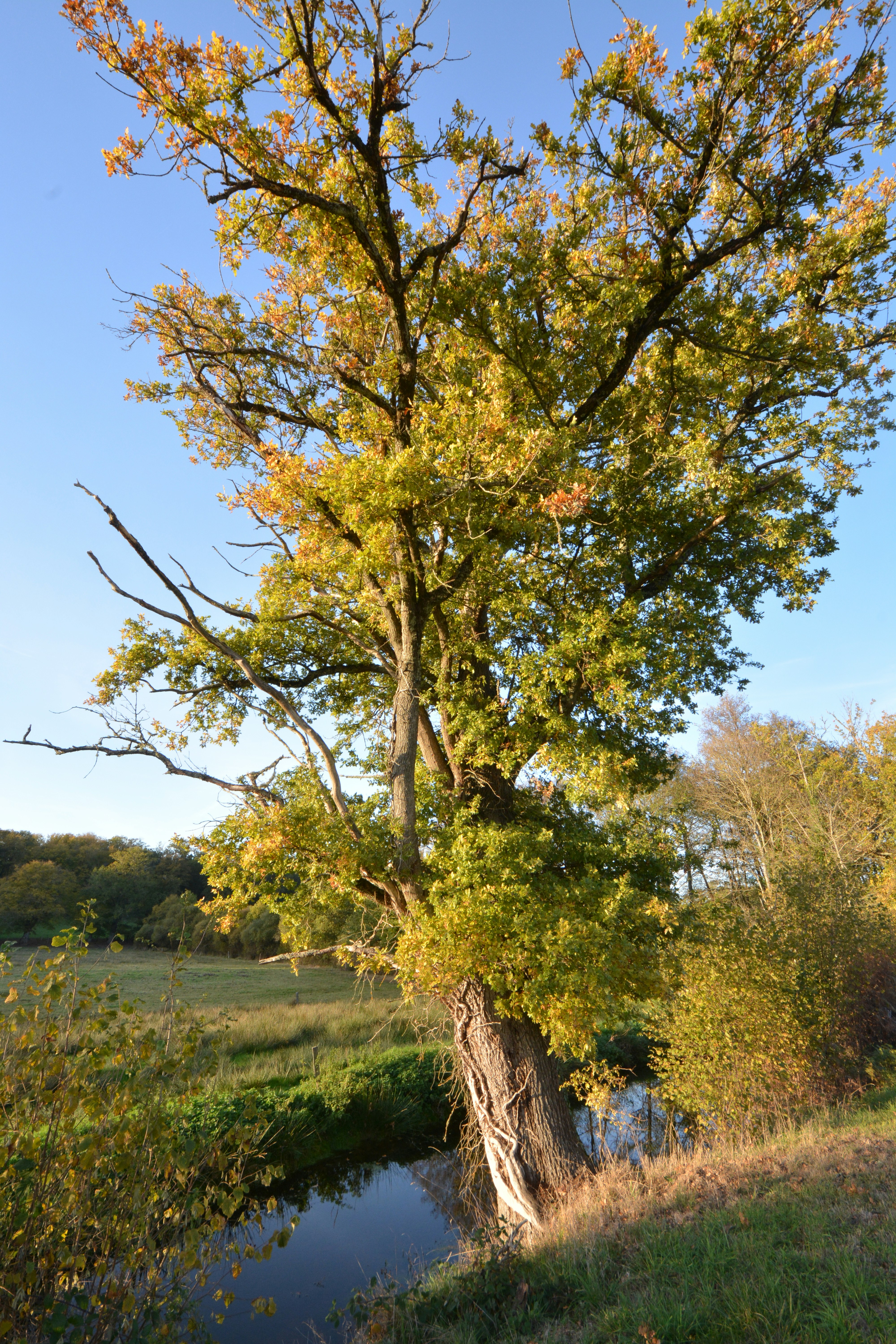 Photo by ashwinward18