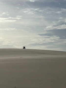 A lone male traveler driving a vintage van across golden desert sands under a clear blue sky at golden hour.