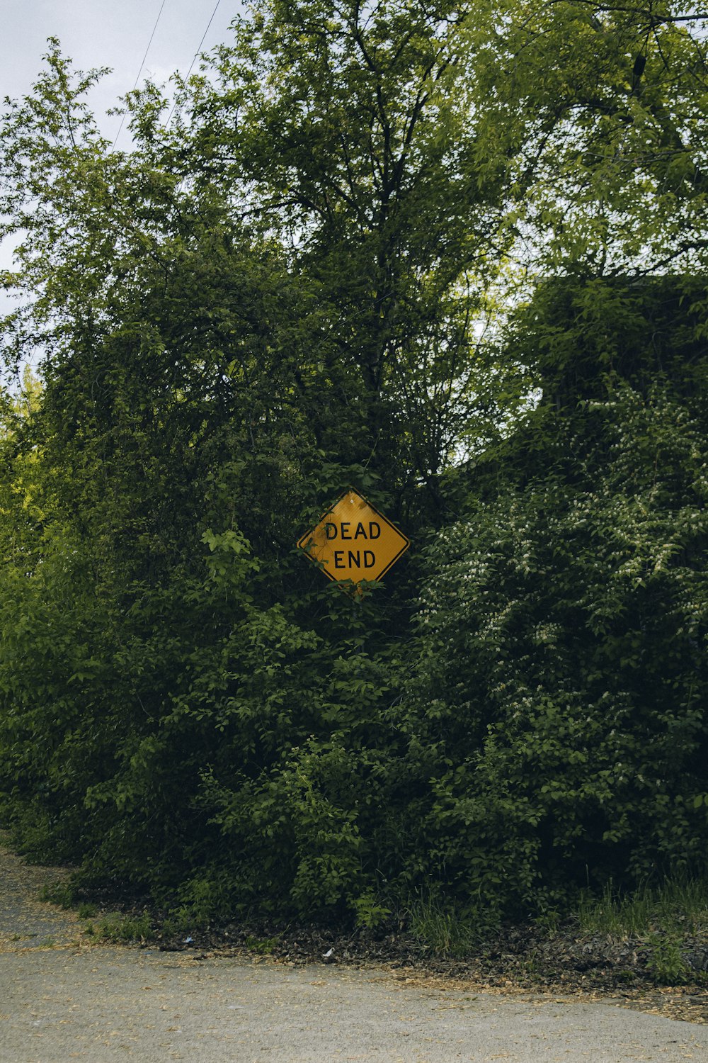 a yellow sign that is on the side of a road
