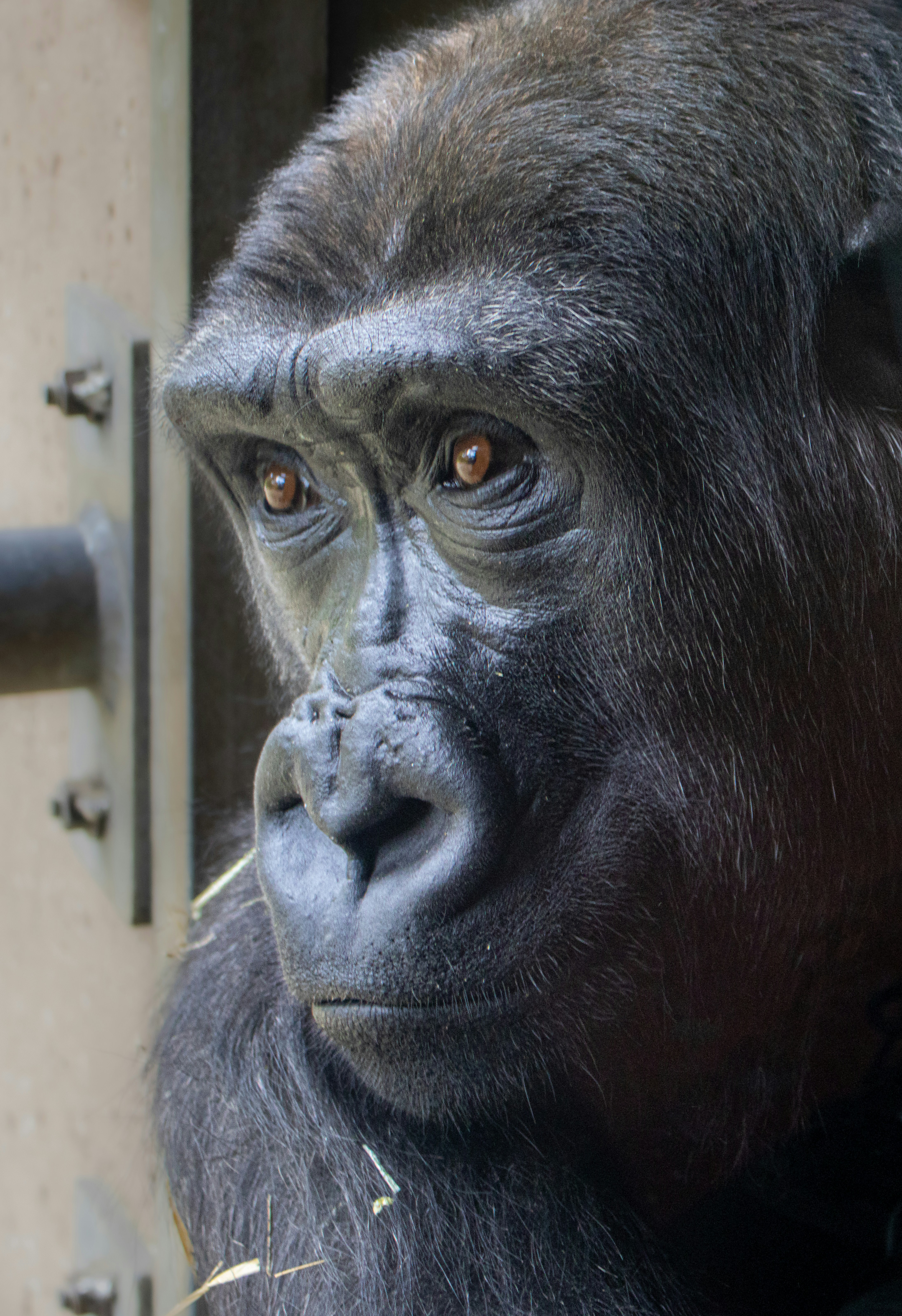 Photo by peterbbryan